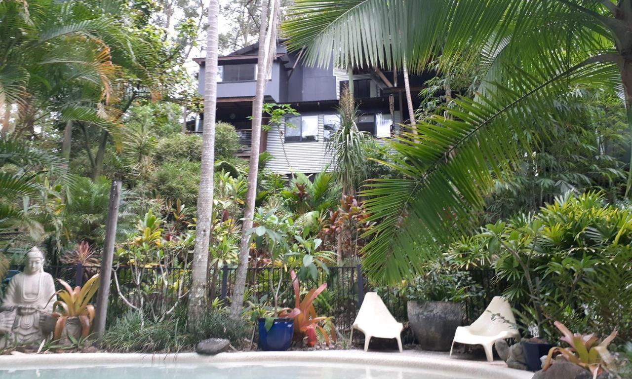 Alaya Escape Bed and Breakfast Eudlo Buitenkant foto