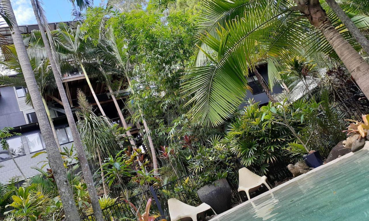 Alaya Escape Bed and Breakfast Eudlo Buitenkant foto