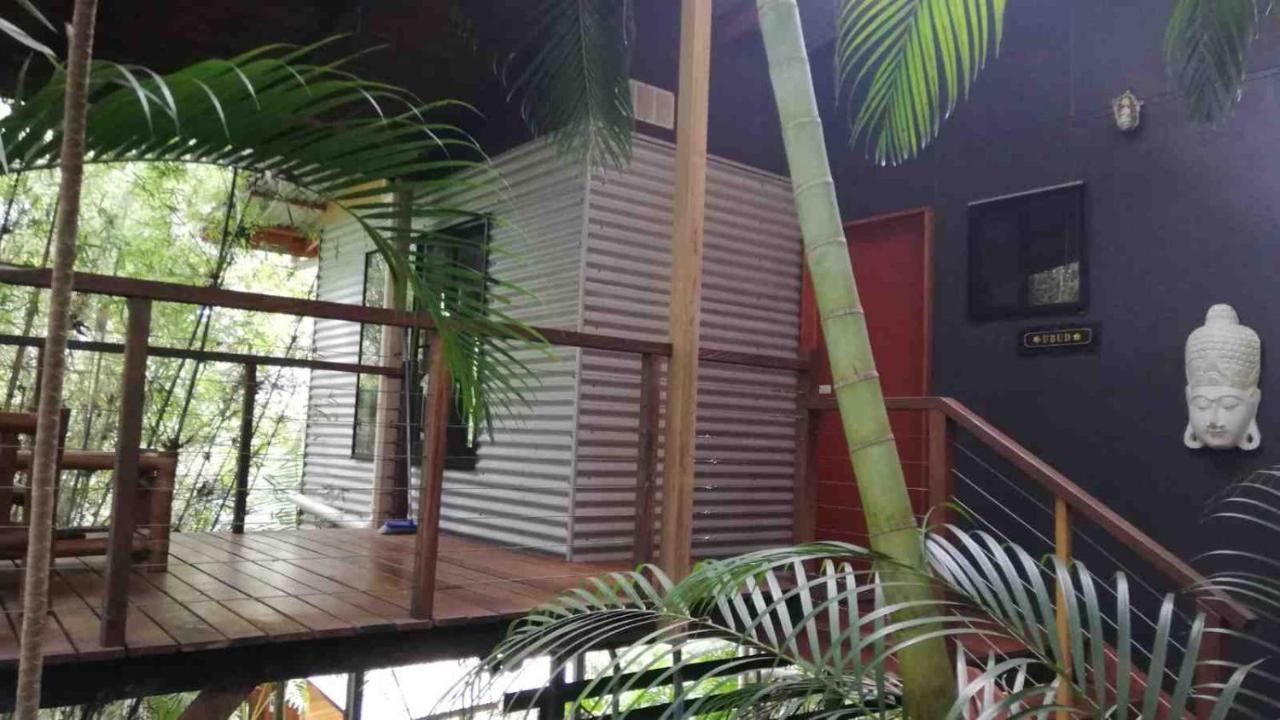 Alaya Escape Bed and Breakfast Eudlo Buitenkant foto