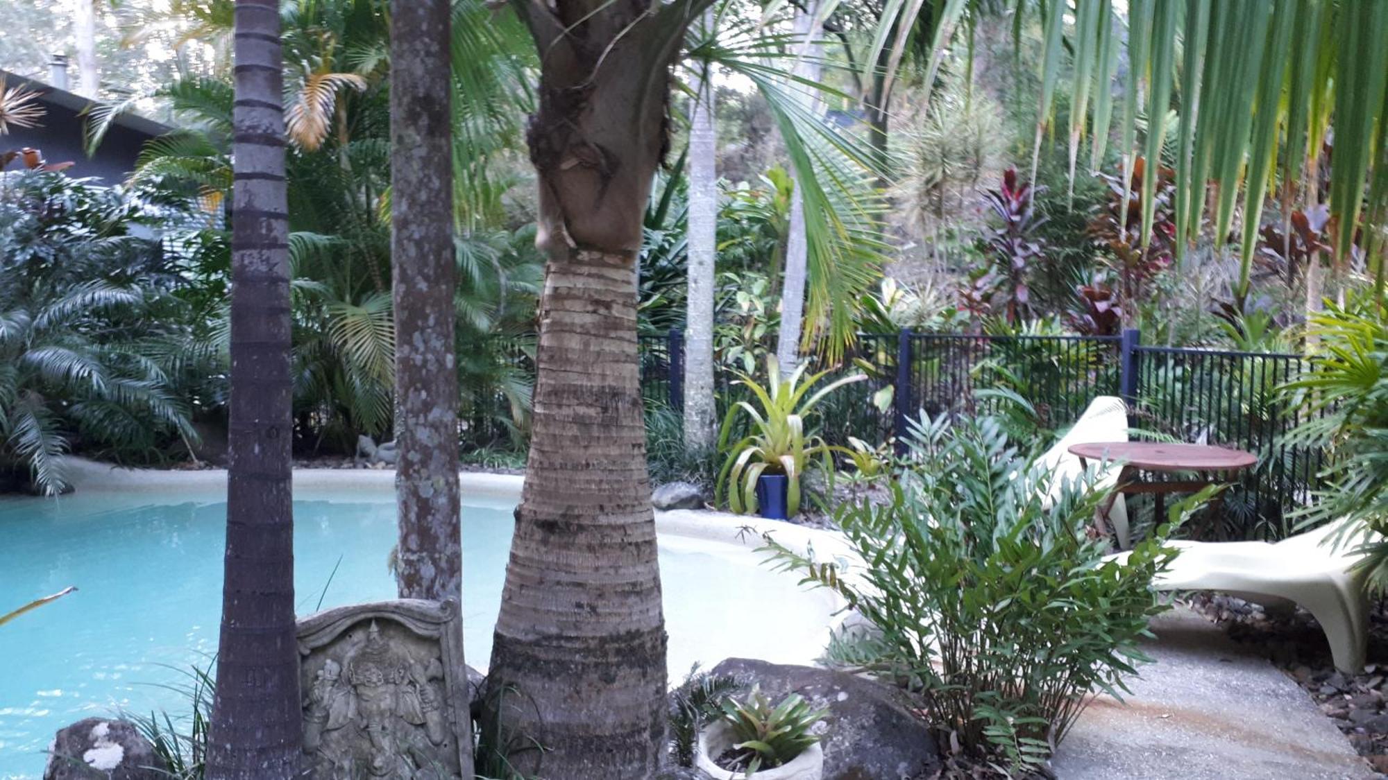 Alaya Escape Bed and Breakfast Eudlo Buitenkant foto