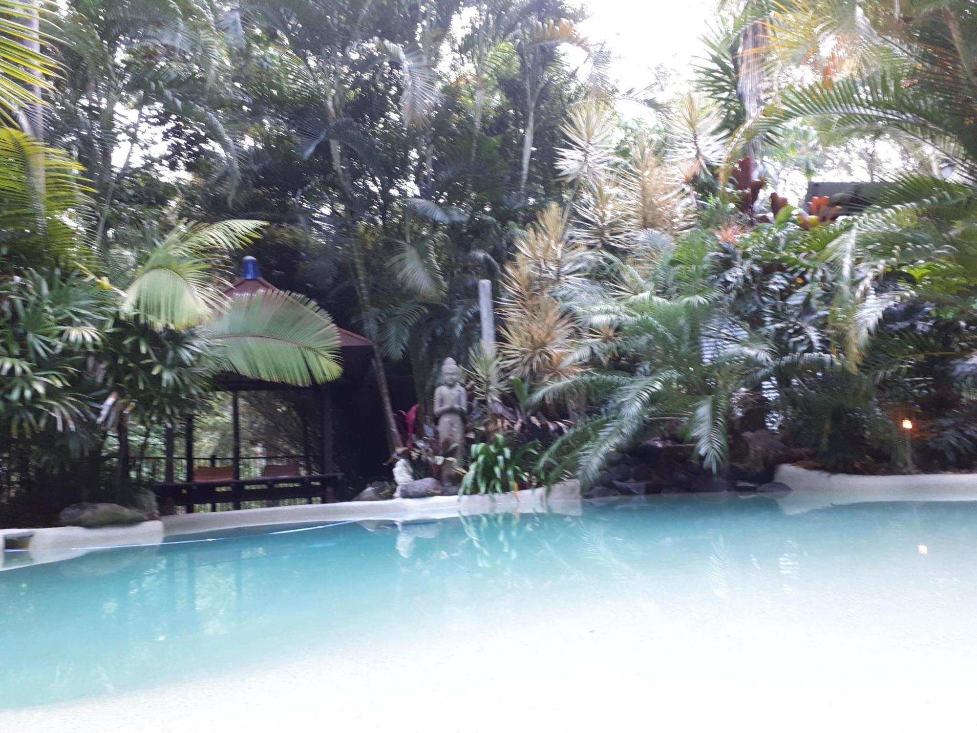 Alaya Escape Bed and Breakfast Eudlo Buitenkant foto