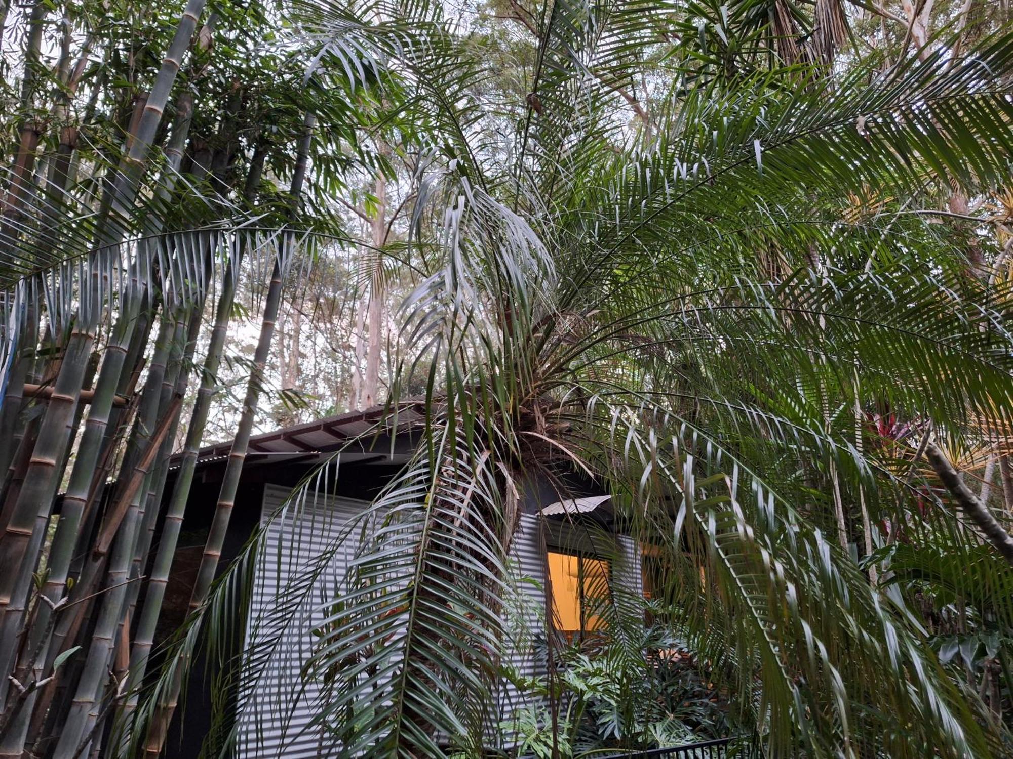 Alaya Escape Bed and Breakfast Eudlo Buitenkant foto