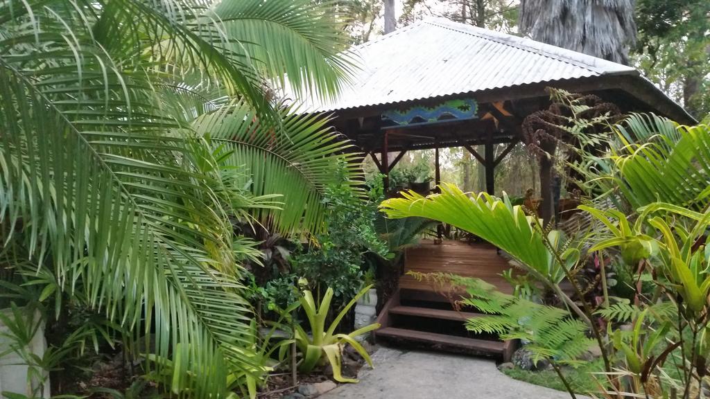 Alaya Escape Bed and Breakfast Eudlo Buitenkant foto