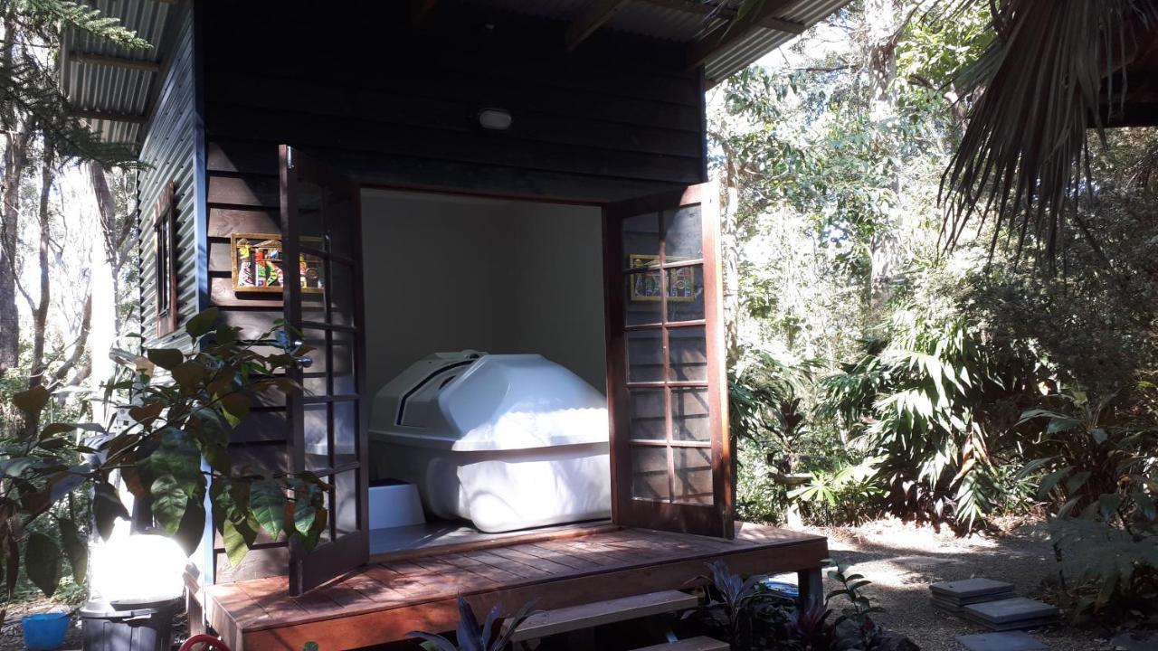 Alaya Escape Bed and Breakfast Eudlo Buitenkant foto