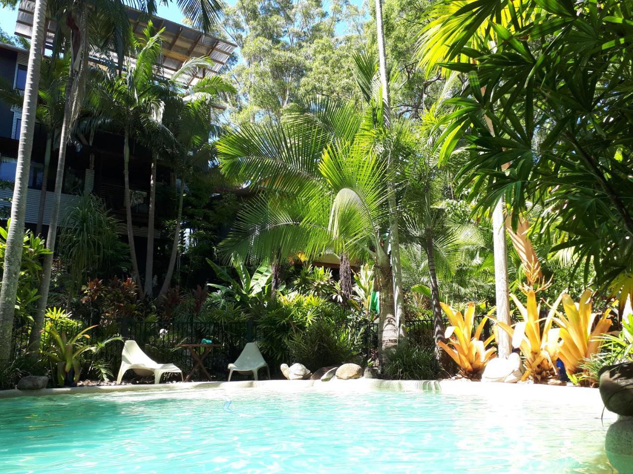 Alaya Escape Bed and Breakfast Eudlo Buitenkant foto